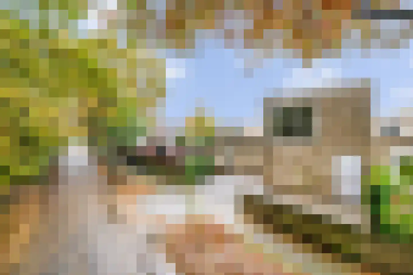 Vederkruidlaan 101 Enschede thumbnail 39