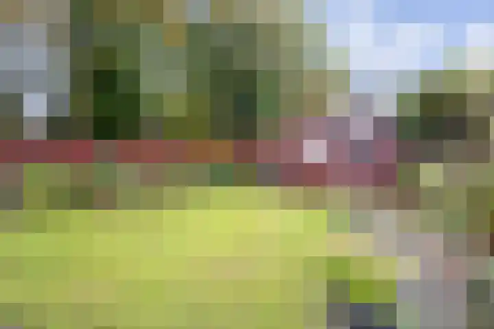 Vederkruidlaan 101 Enschede thumbnail 4