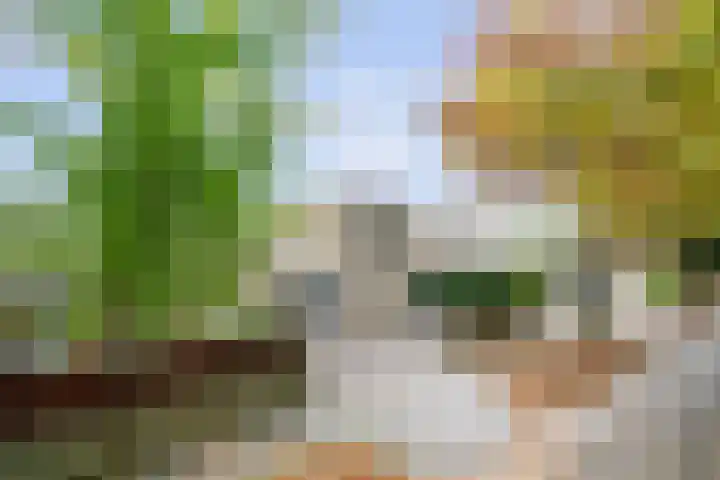 Vederkruidlaan 101 Enschede thumbnail 5