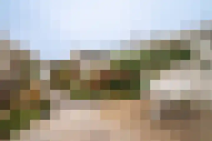Vederkruidlaan 29 Enschede thumbnail 29