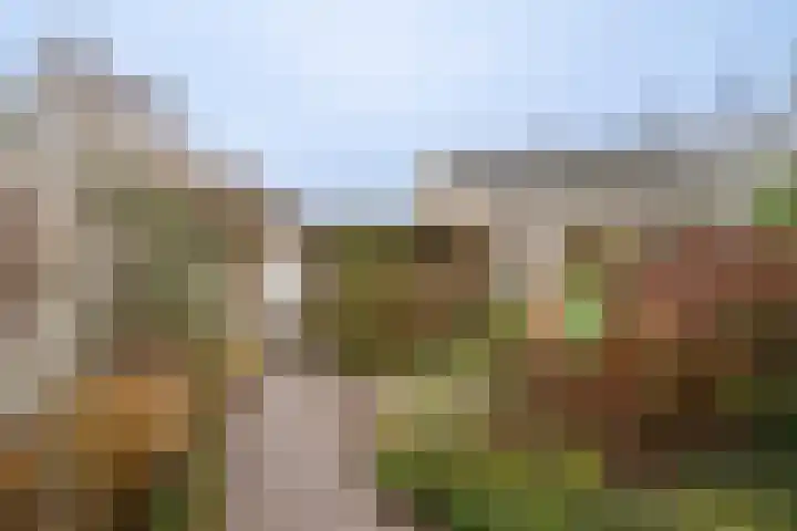Vederkruidlaan 29 Enschede thumbnail 30