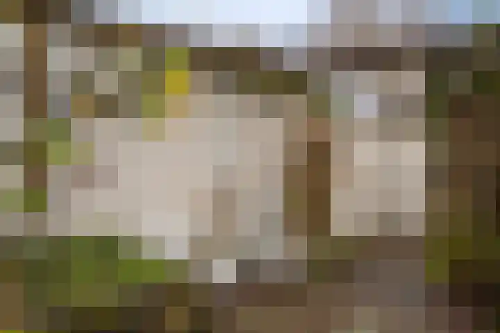 Vederkruidlaan 29 Enschede thumbnail 31