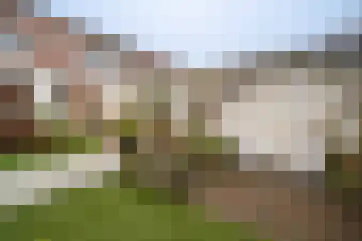 Vederkruidlaan 29 Enschede thumbnail 34