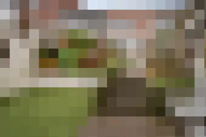 Vederkruidlaan 29 Enschede thumbnail 4