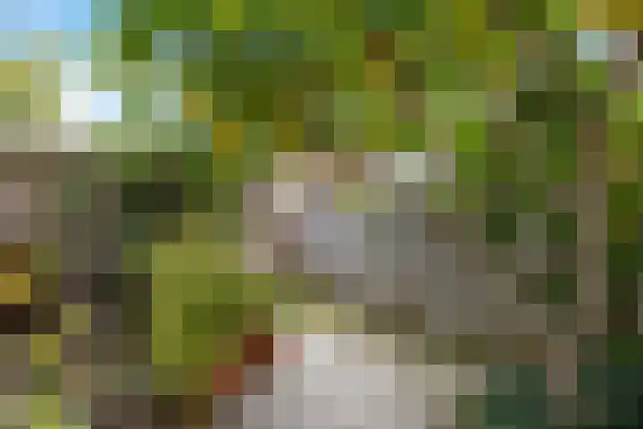 Vederkruidlaan 59 Enschede thumbnail 34
