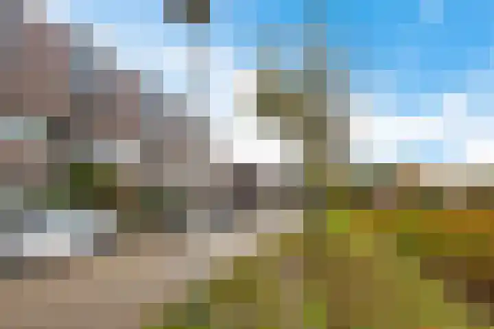 Vederkruidlaan 59 Enschede thumbnail 36