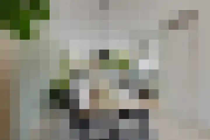 Vederkruidlaan 59 Enschede thumbnail 8