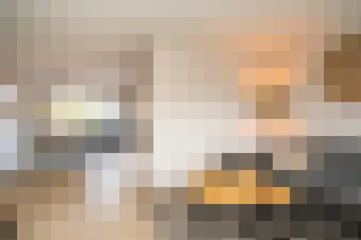 Vederkruidlaan 69 Enschede thumbnail 10