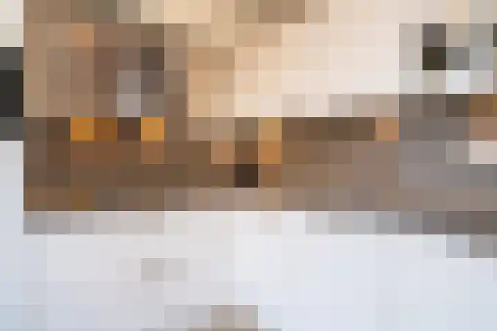 Vederkruidlaan 69 Enschede thumbnail 14