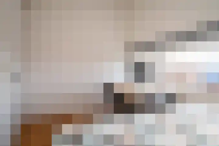 Vederkruidlaan 69 Enschede thumbnail 26