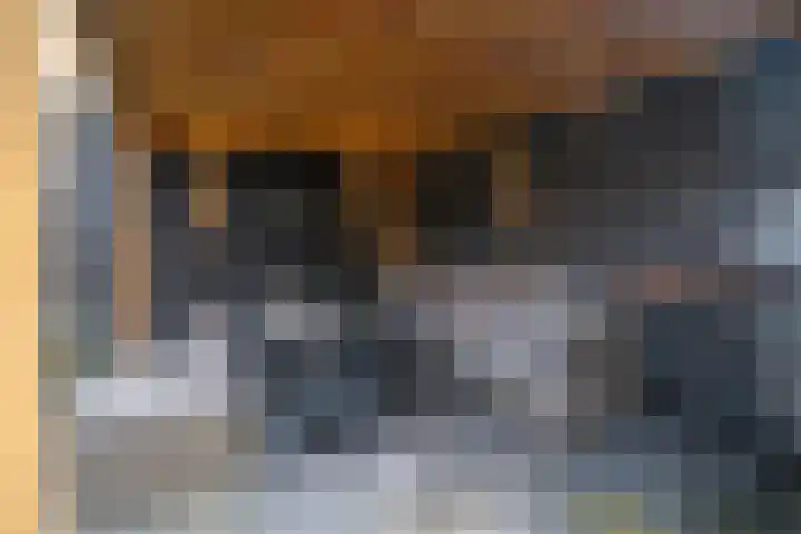 Vederkruidlaan 69 Enschede thumbnail 30