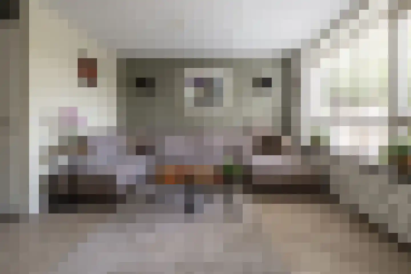 Vederkruidlaan 7 Enschede thumbnail 16