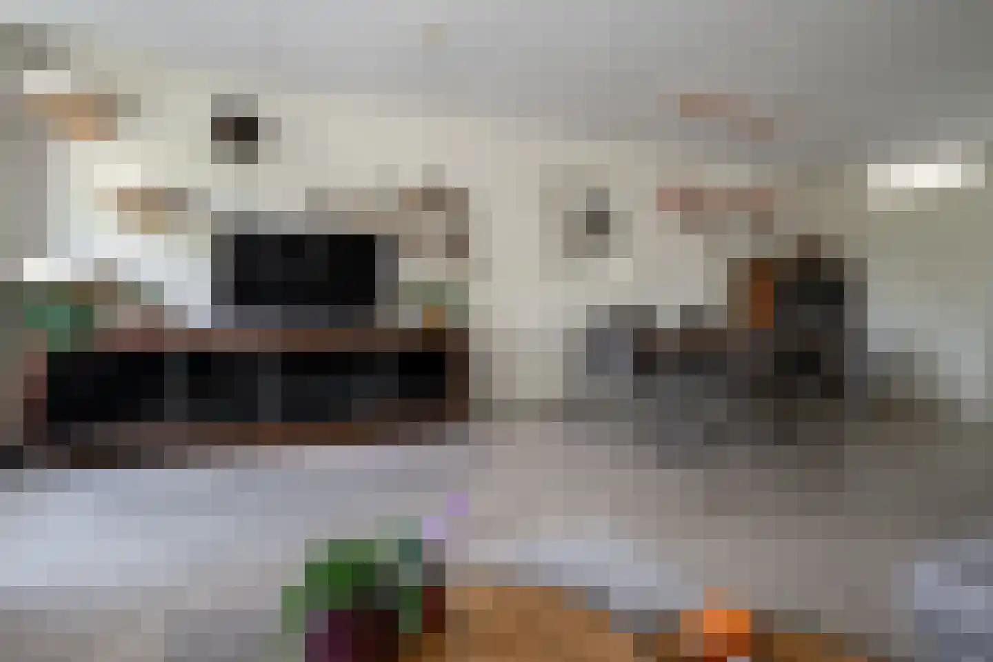 Vederkruidlaan 7 Enschede thumbnail 19