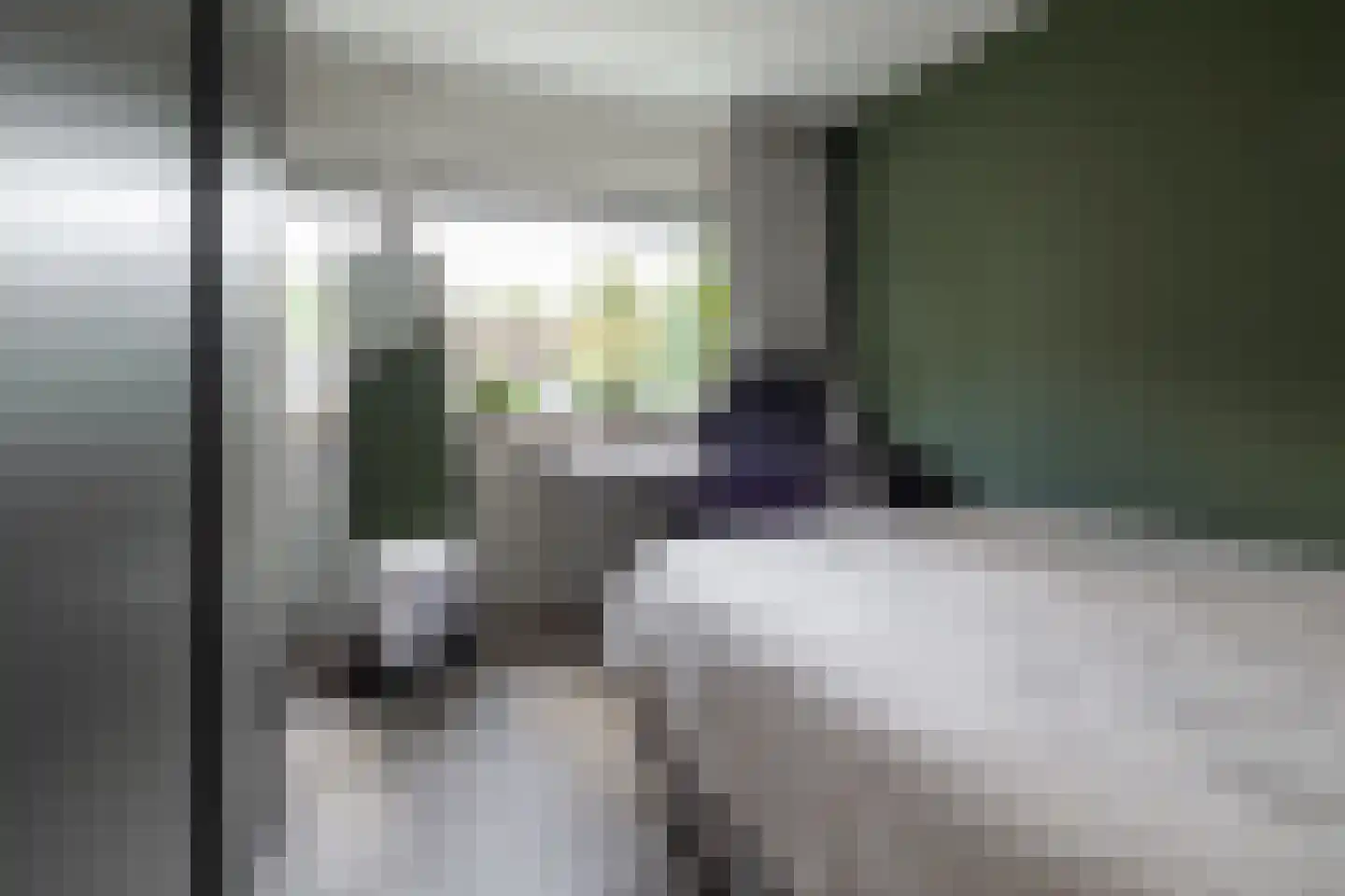 Vederkruidlaan 7 Enschede thumbnail 25