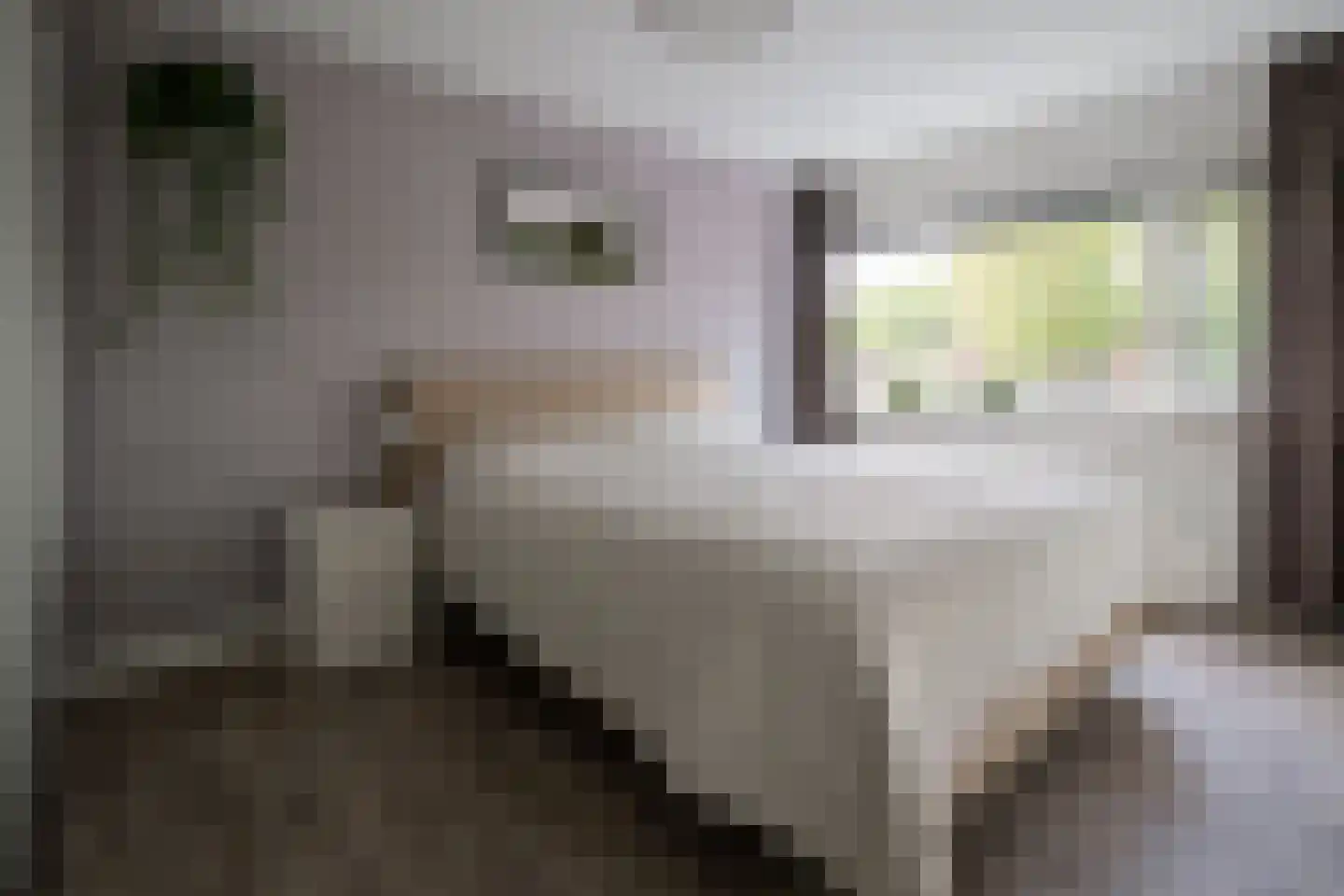 Vederkruidlaan 7 Enschede thumbnail 26