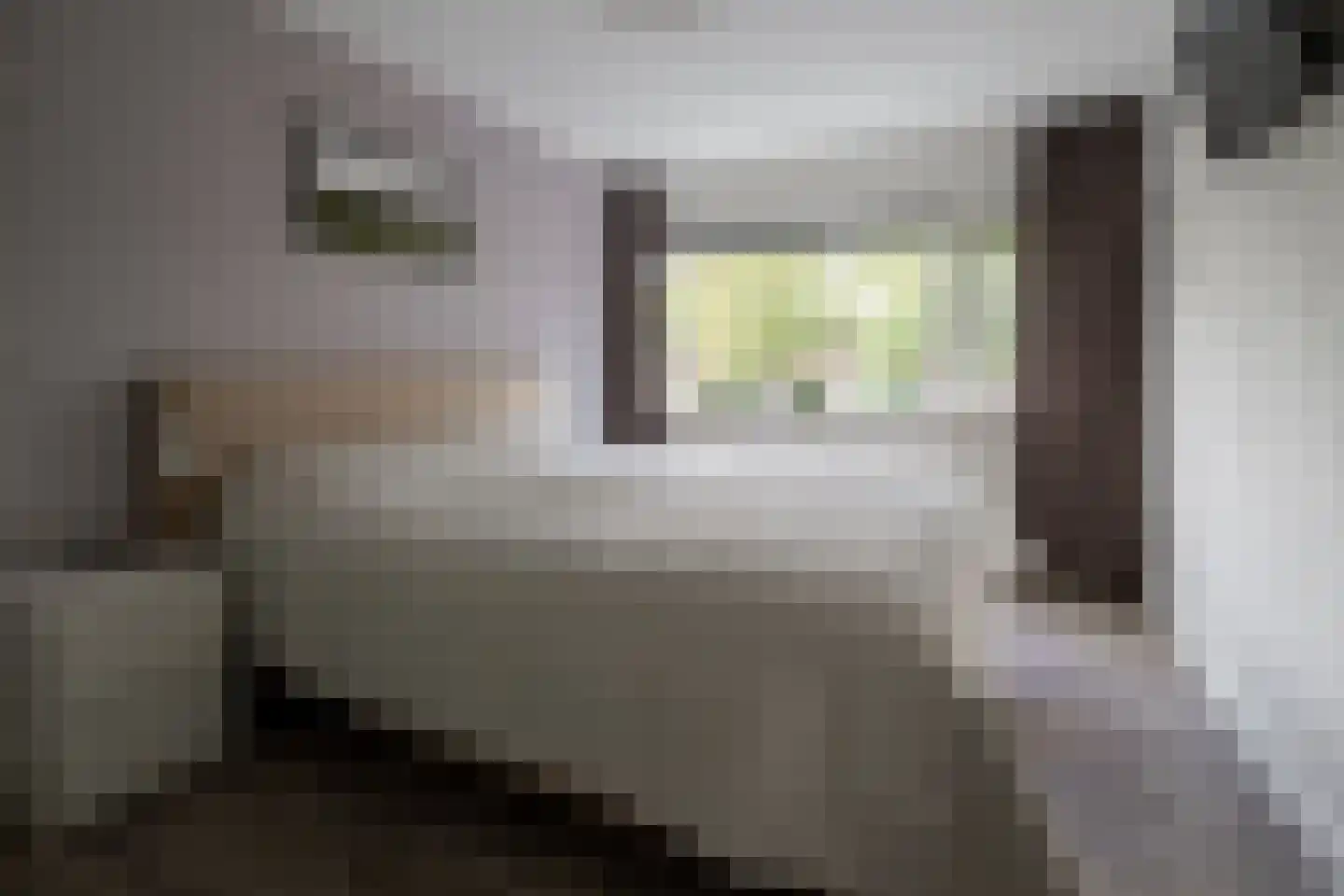 Vederkruidlaan 7 Enschede thumbnail 27