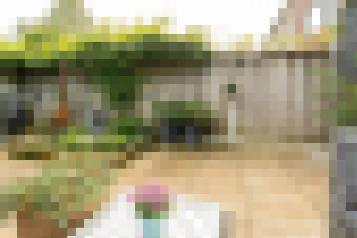 Vederkruidlaan 7 Enschede thumbnail 36