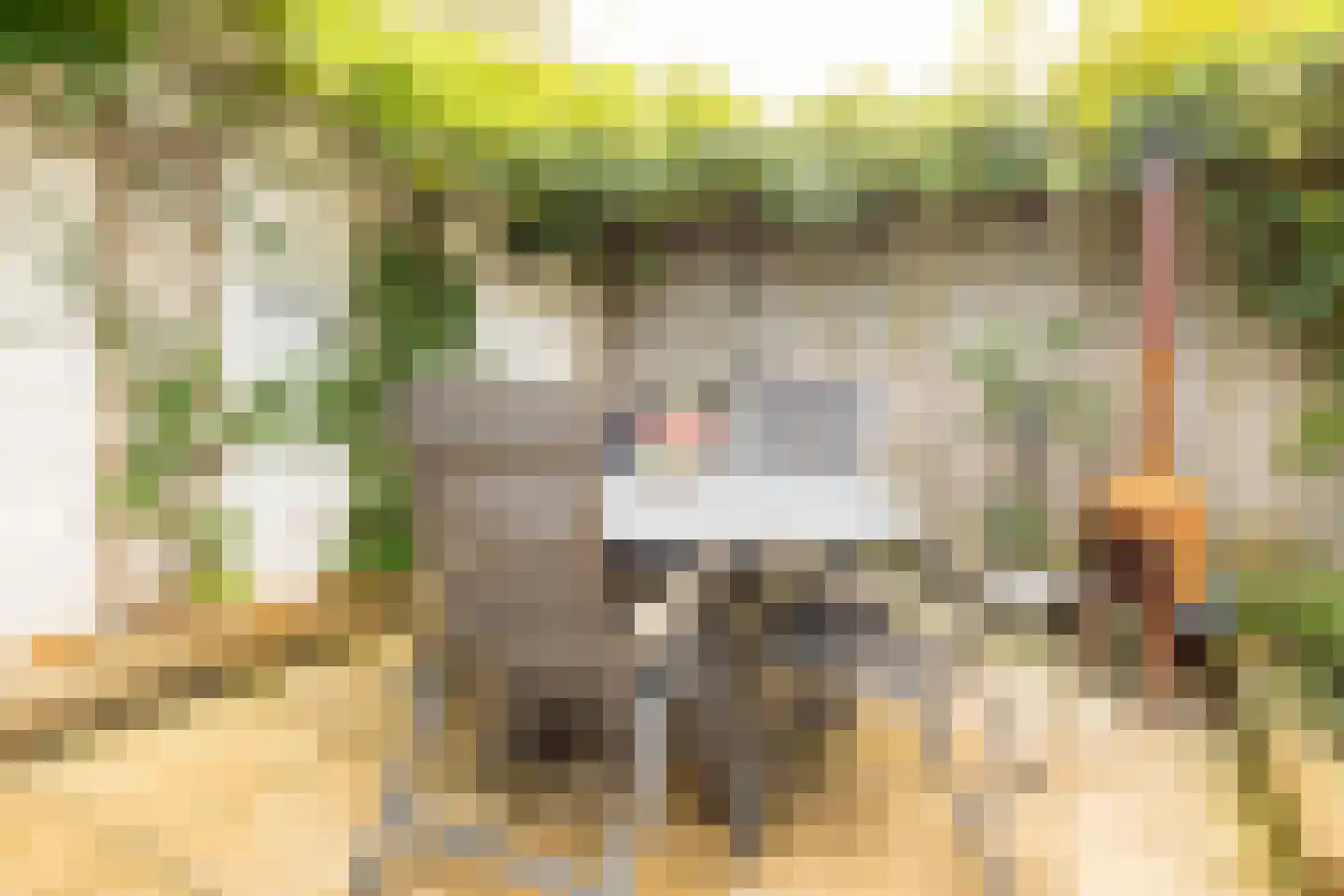 Vederkruidlaan 7 Enschede thumbnail 38