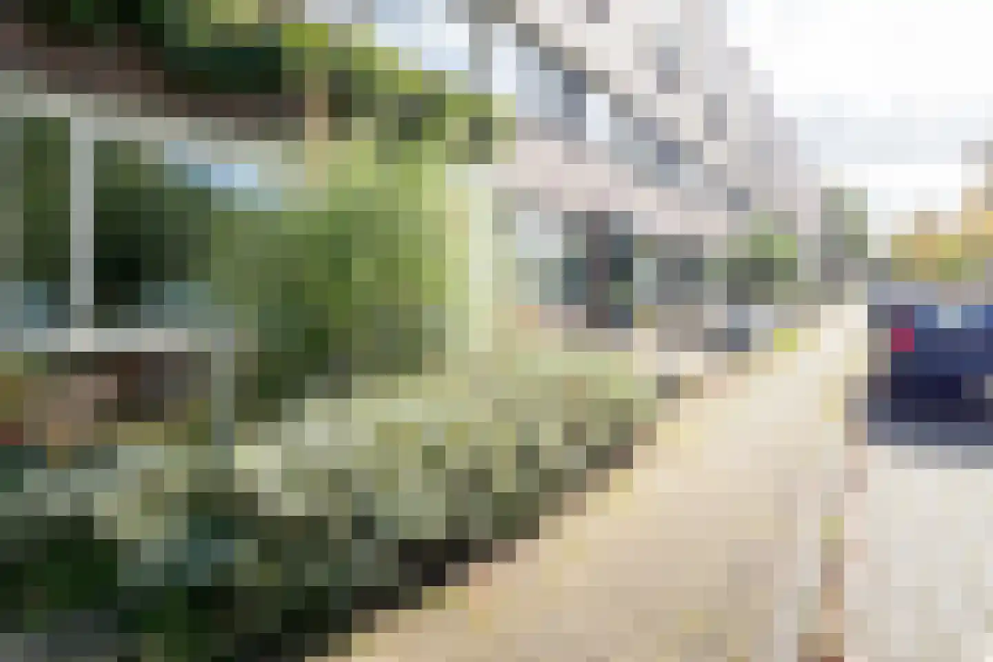 Vederkruidlaan 7 Enschede thumbnail 41