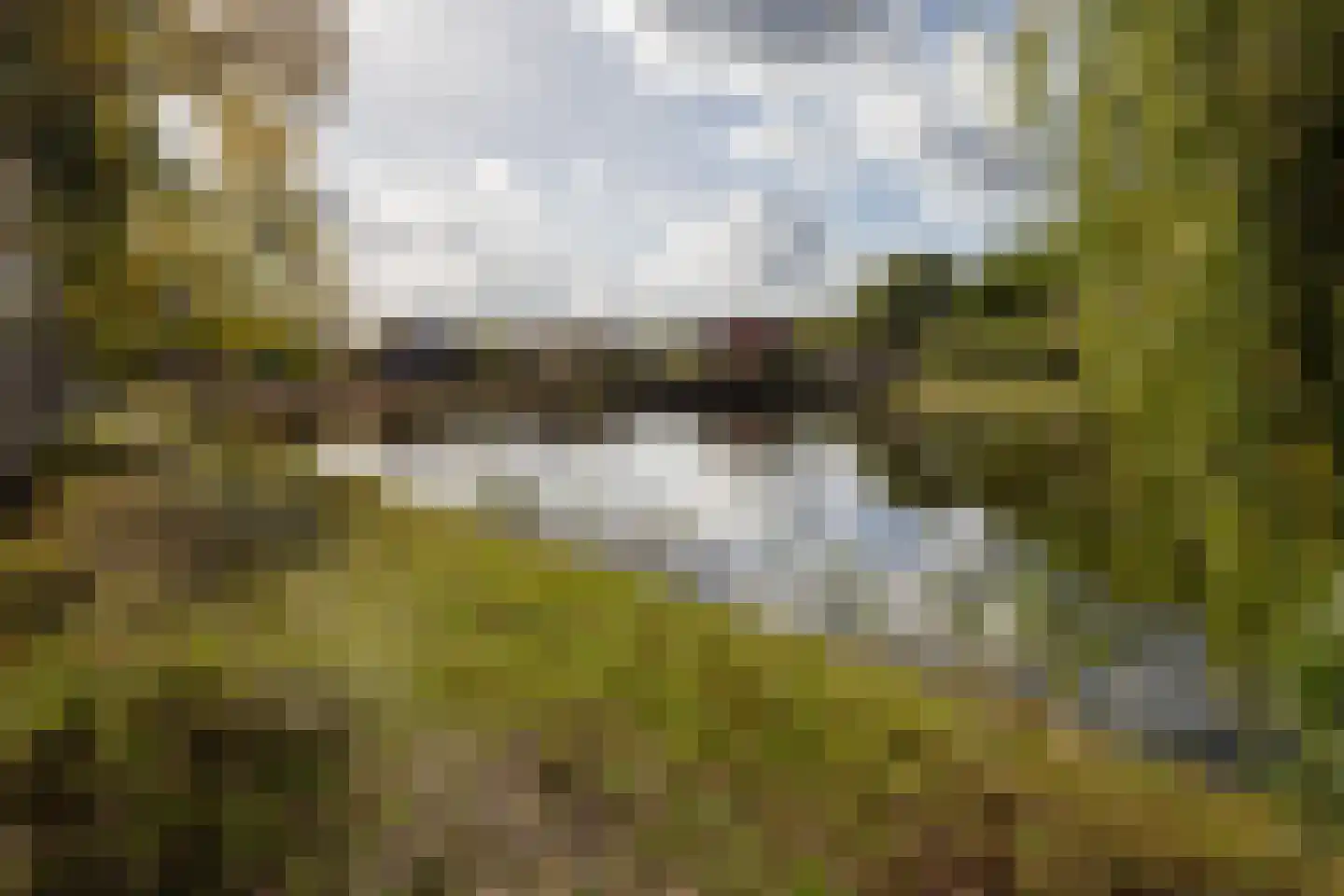Vederkruidlaan 7 Enschede thumbnail 43