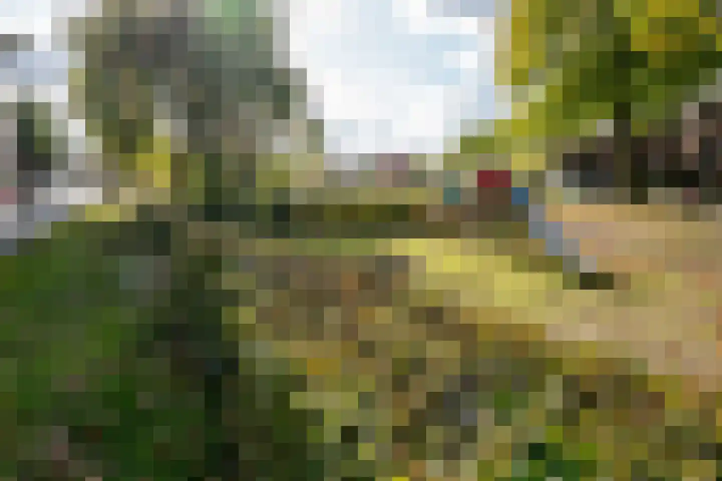 Vederkruidlaan 7 Enschede thumbnail 45