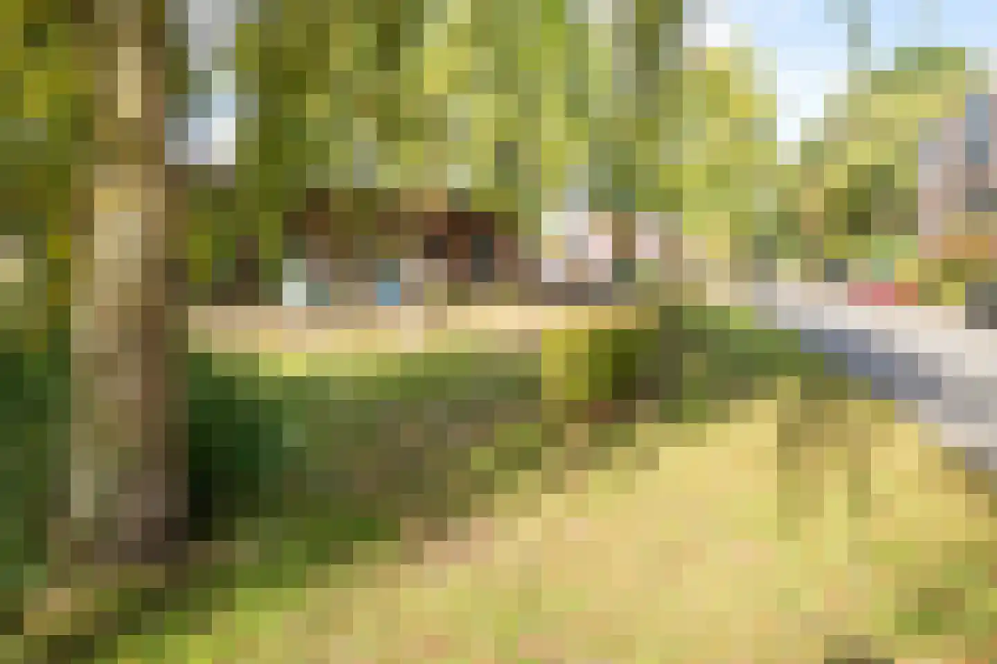 Vederkruidlaan 7 Enschede thumbnail 46