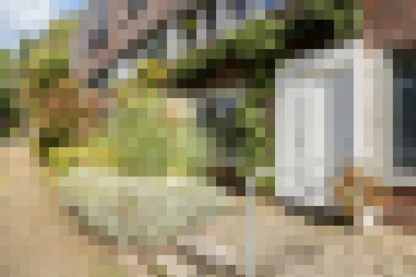 Vederkruidlaan 7 Enschede thumbnail 6