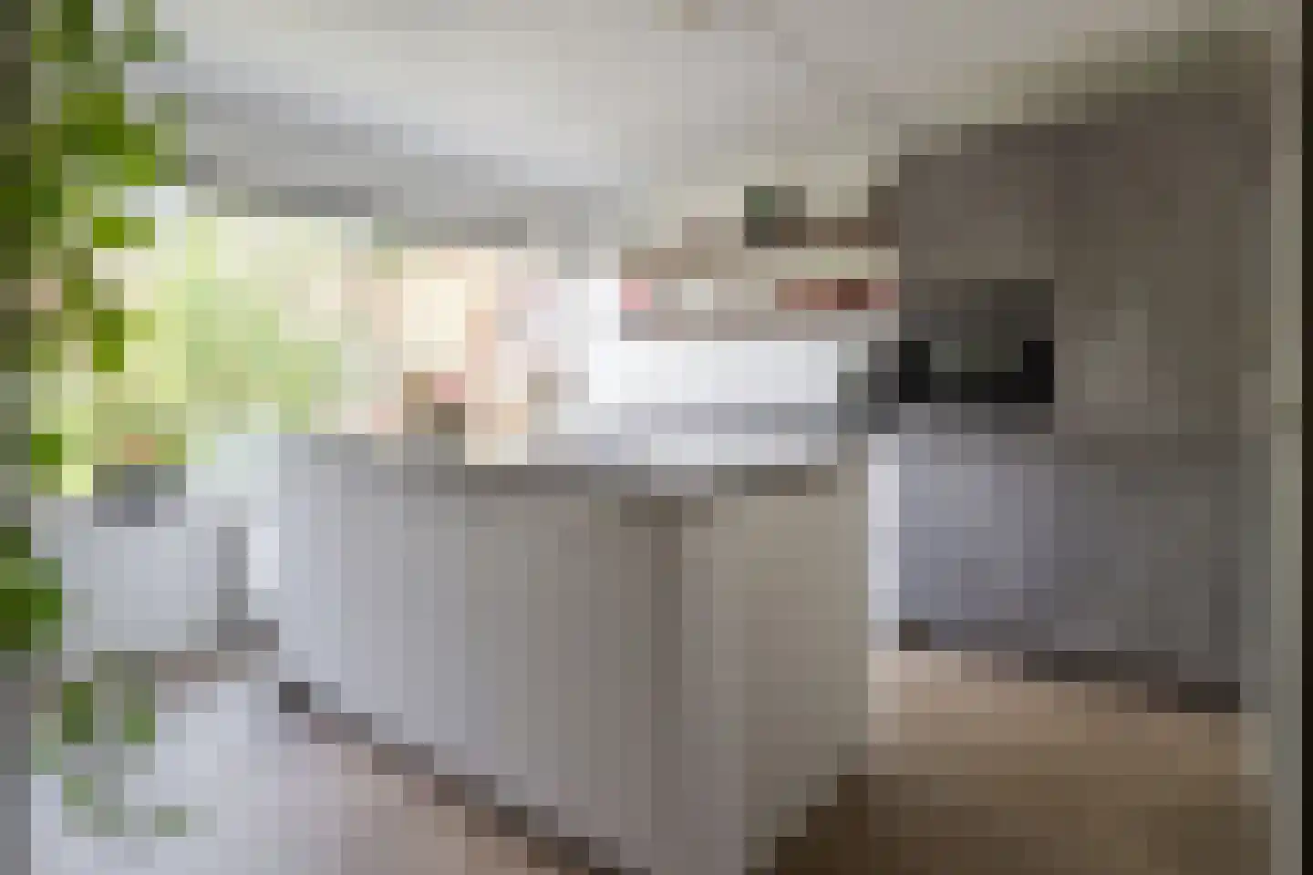 Vederkruidlaan 7 Enschede thumbnail 9