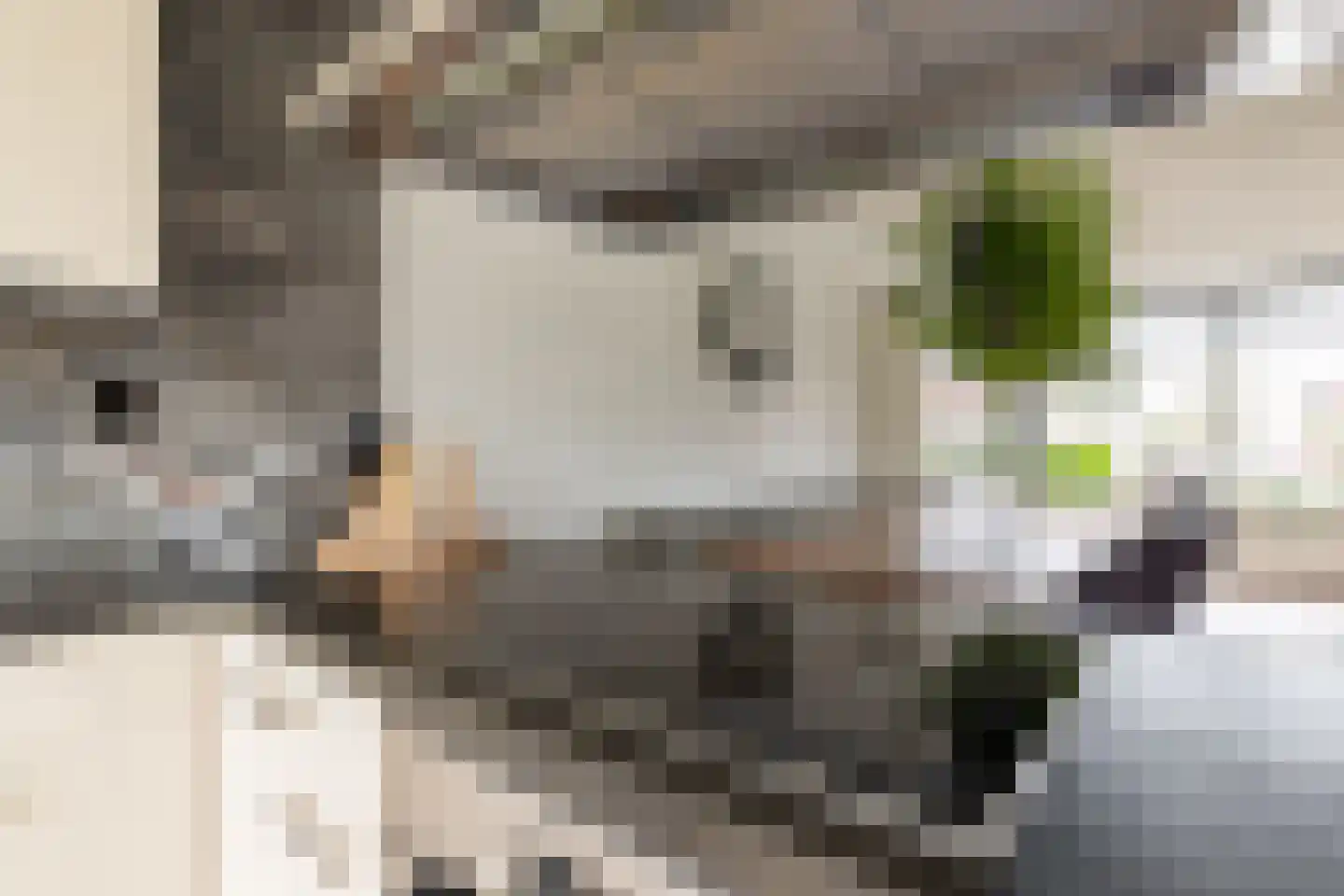 Vederkruidlaan 7 Oosthuizen thumbnail 19