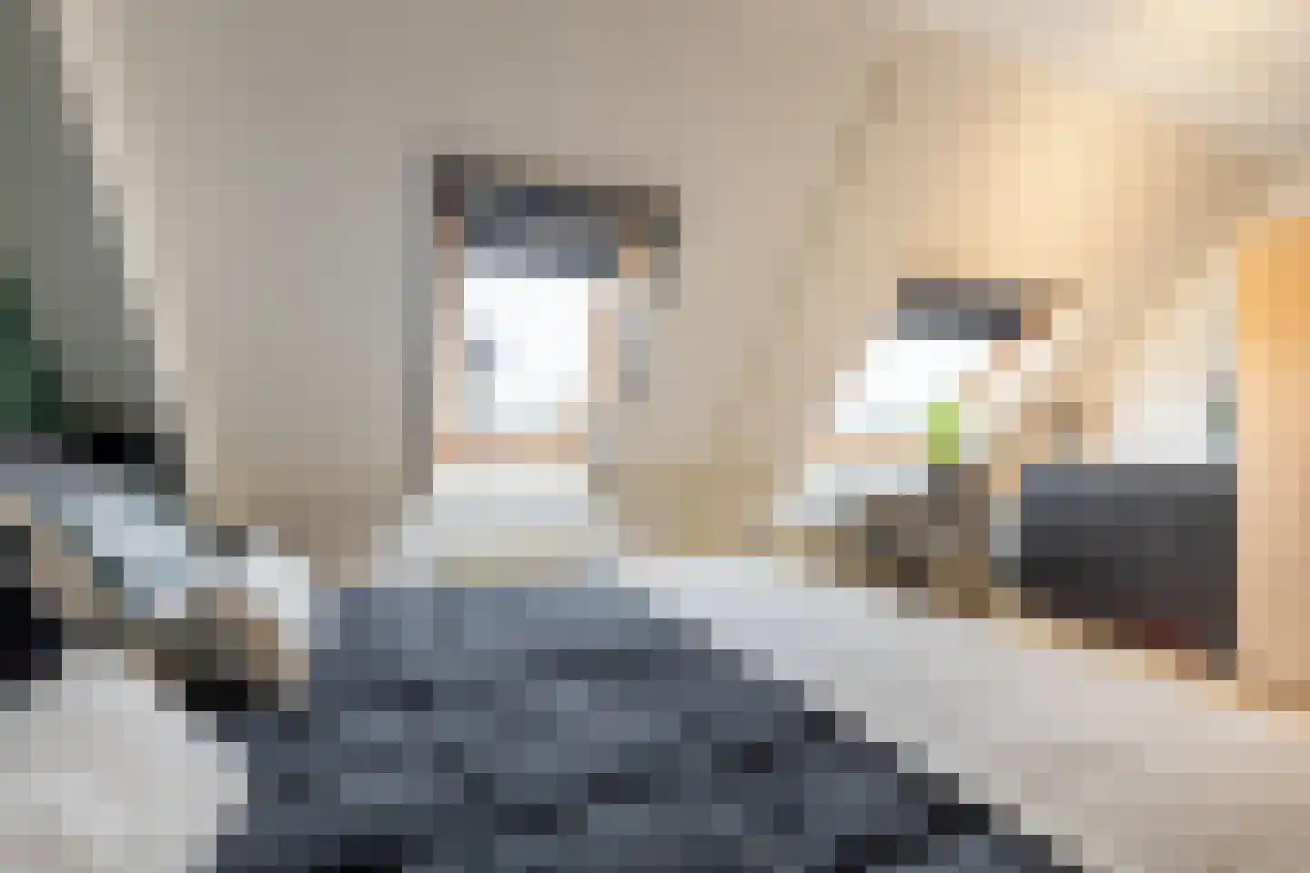 Vederkruidlaan 7 Oosthuizen thumbnail 31