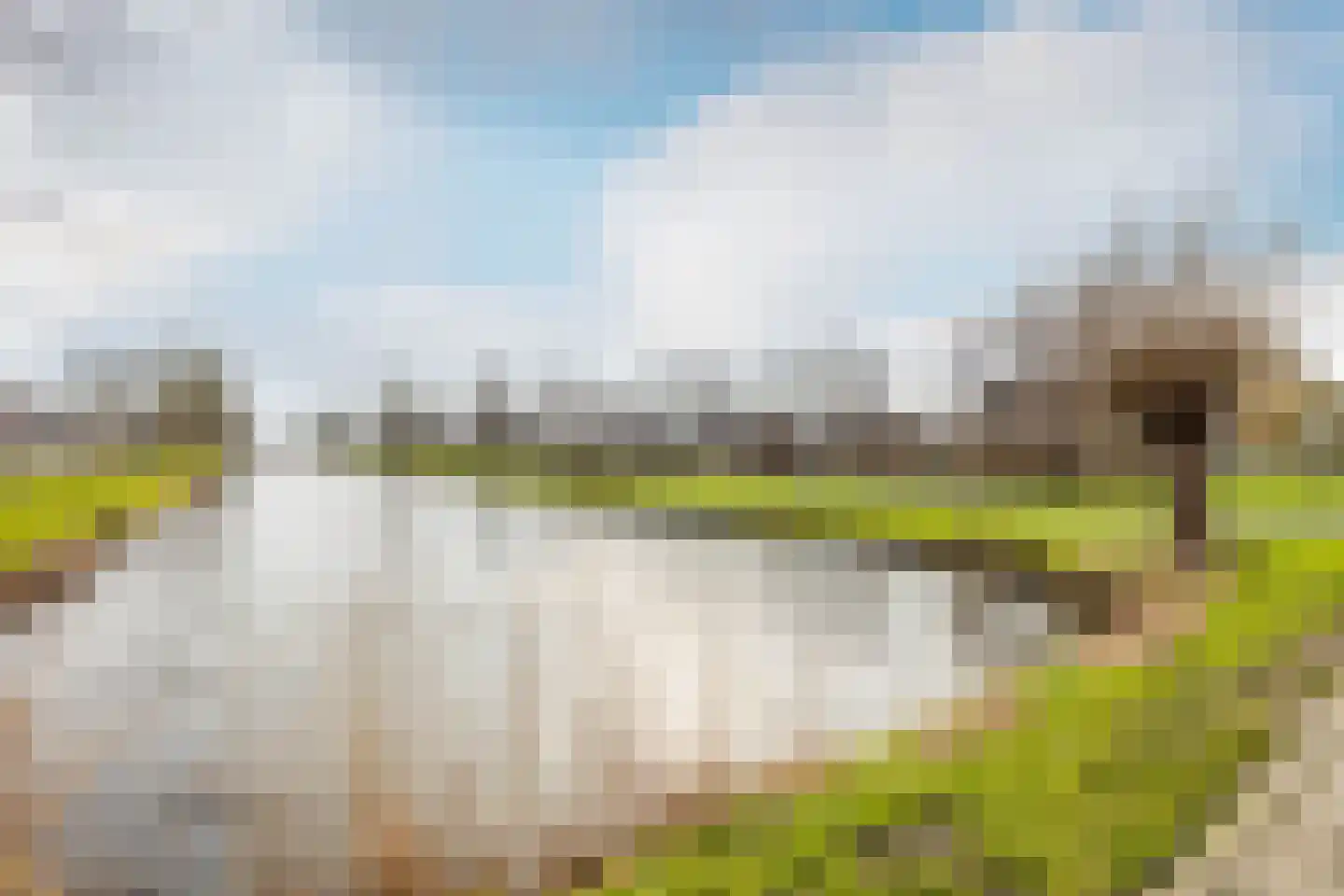 Vederkruidlaan 7 Oosthuizen thumbnail 43