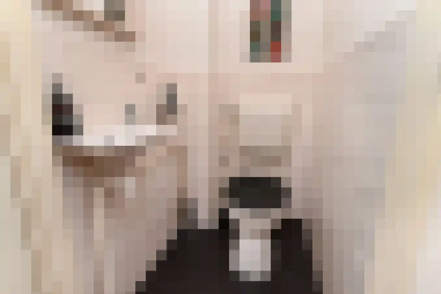 Vederkruidvaart 1 Zoetermeer thumbnail 19