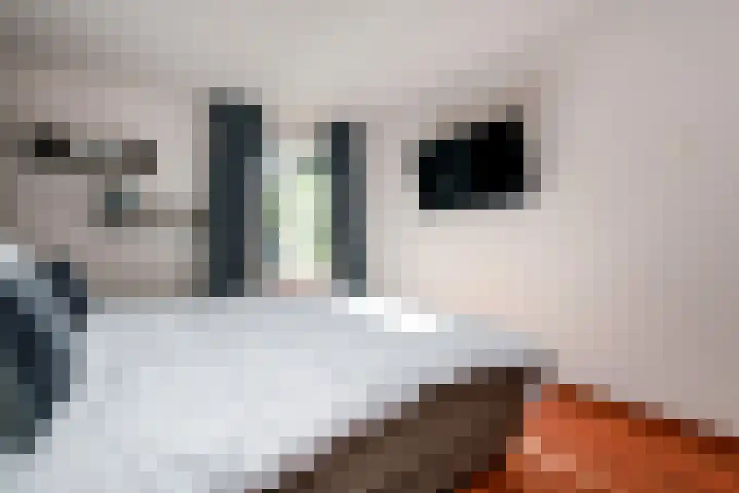 Vederkruidvaart 1 Zoetermeer thumbnail 23