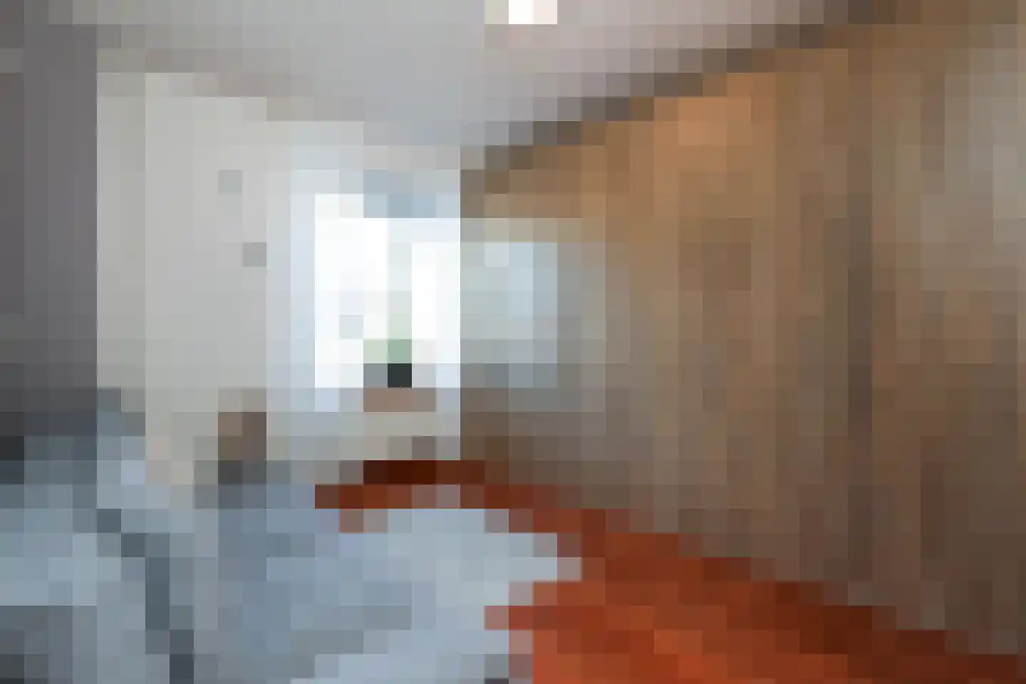 Vederkruidvaart 1 Zoetermeer thumbnail 24