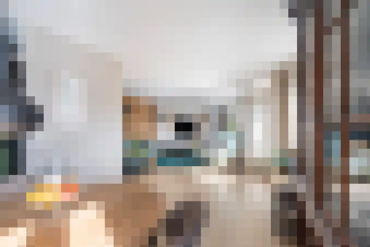 Vederkruidvaart 6 Zoetermeer thumbnail 20