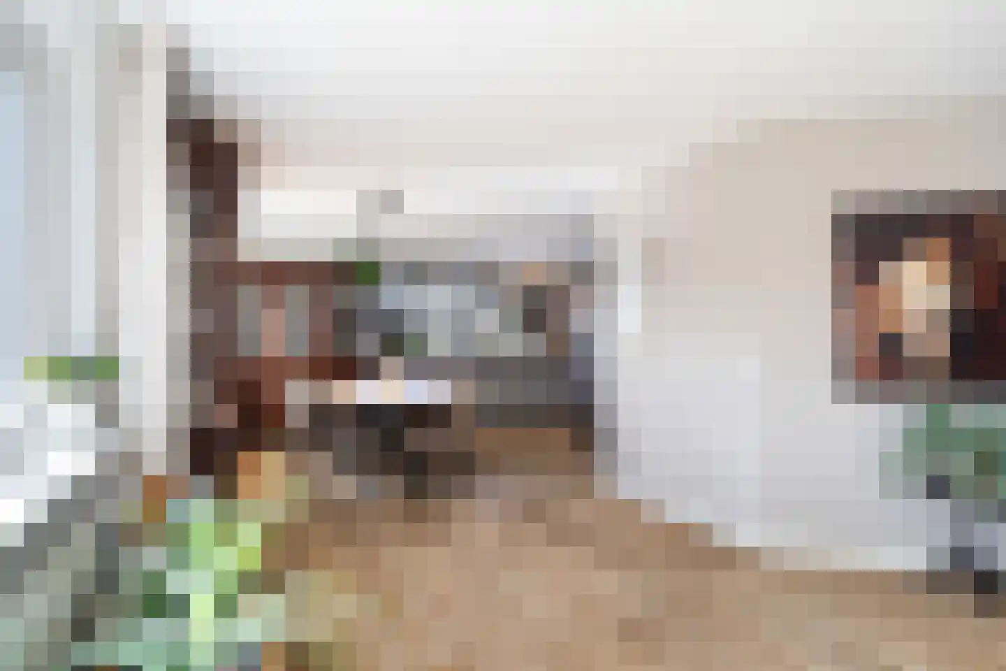 Vederkruidvaart 6 Zoetermeer thumbnail 26