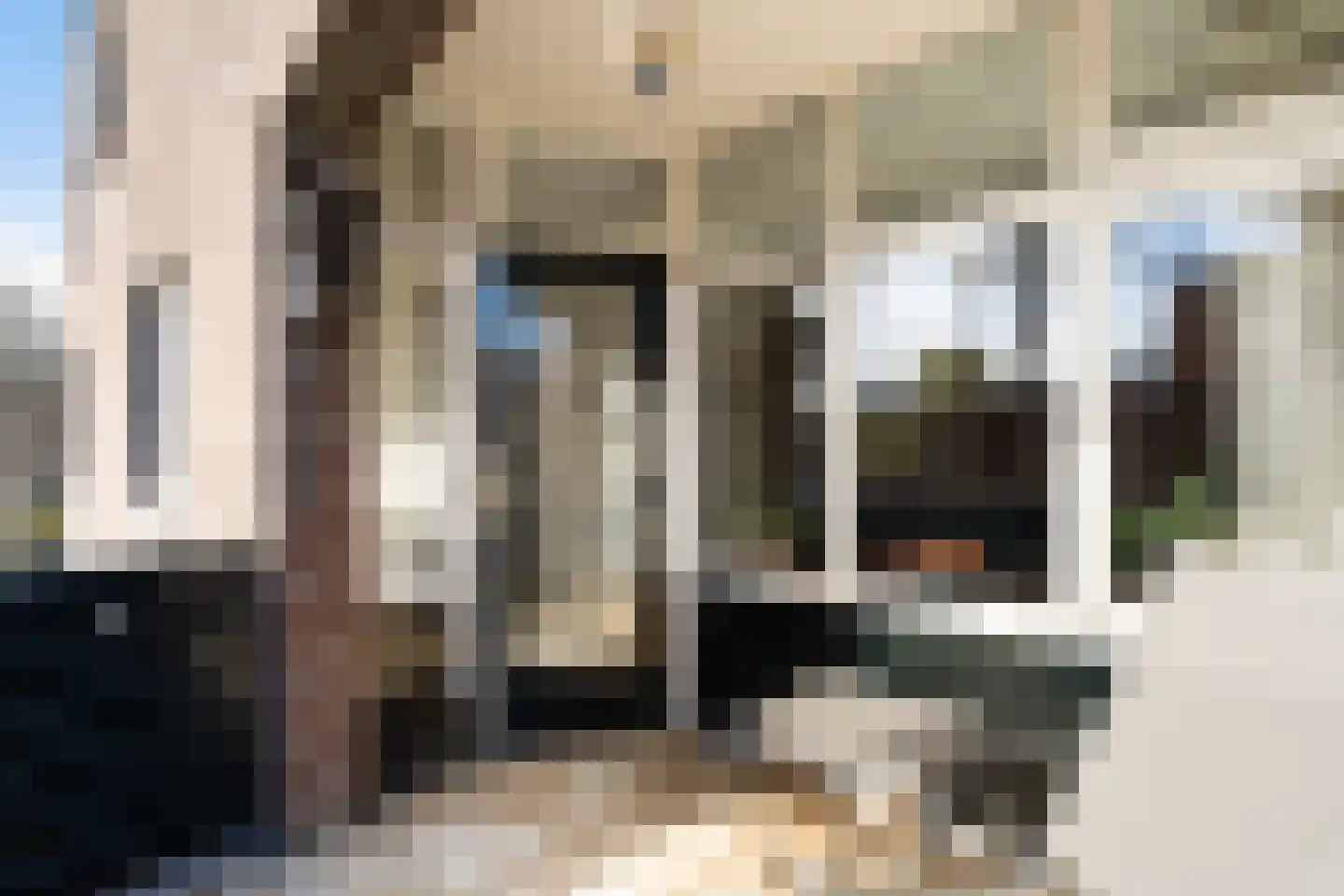 Vederkruidvaart 6 Zoetermeer thumbnail 37