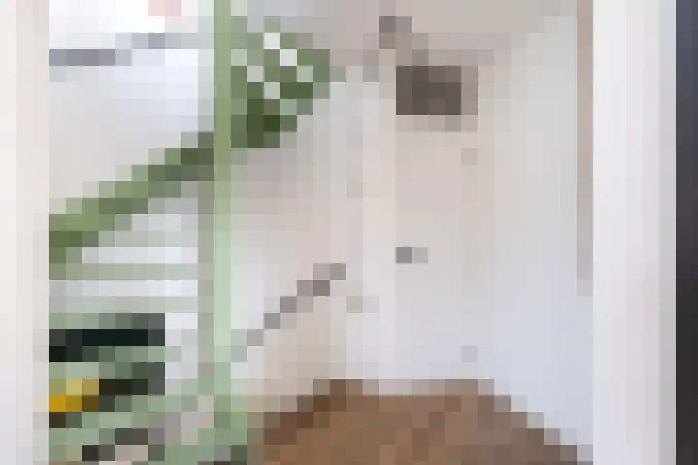 Vederkruidvaart 6 Zoetermeer thumbnail 40
