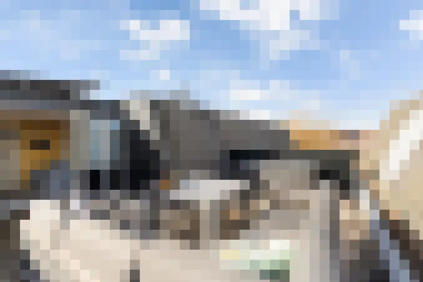 Vederkruidvaart 6 Zoetermeer thumbnail 48