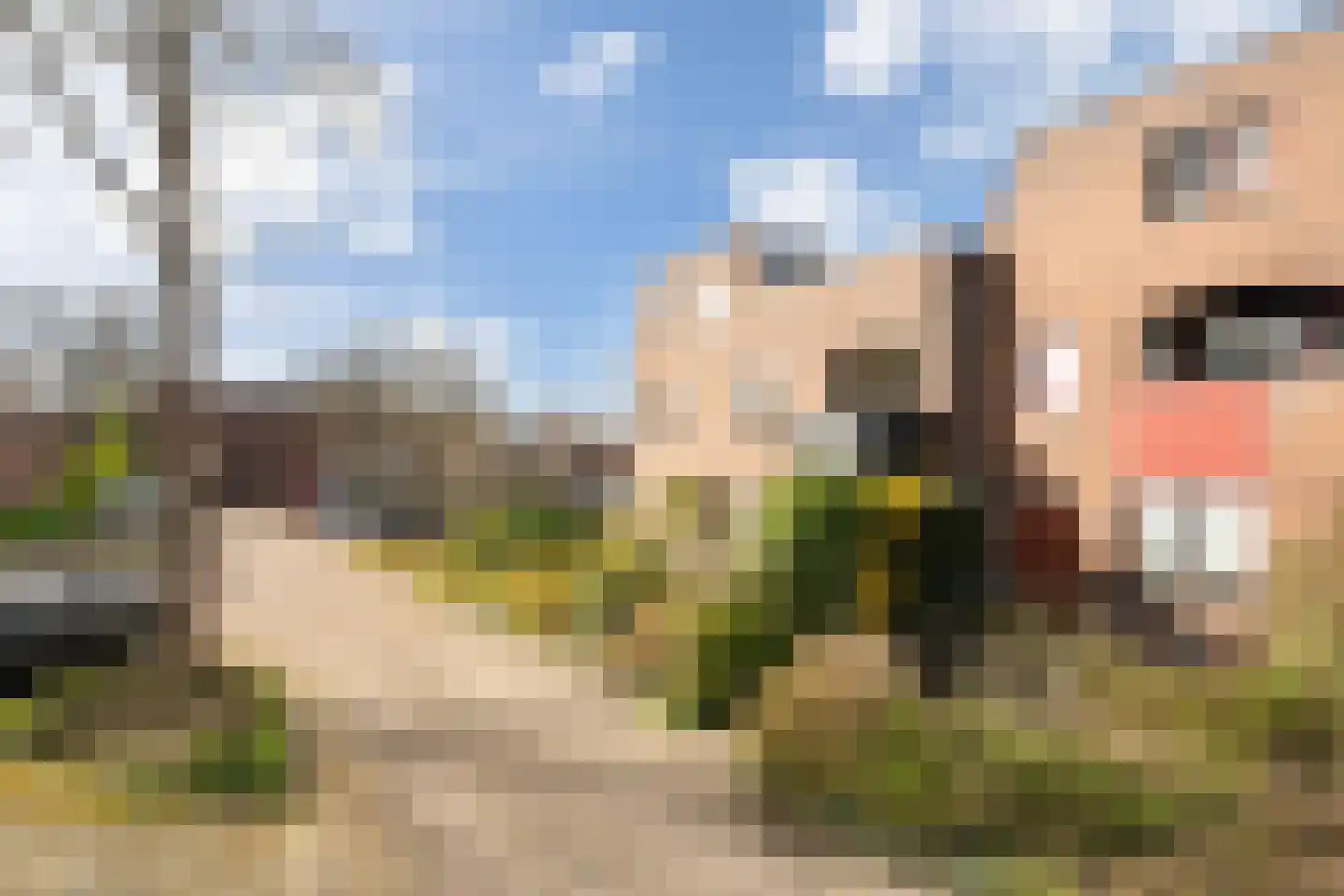 Vederkruidvaart 6 Zoetermeer thumbnail 59