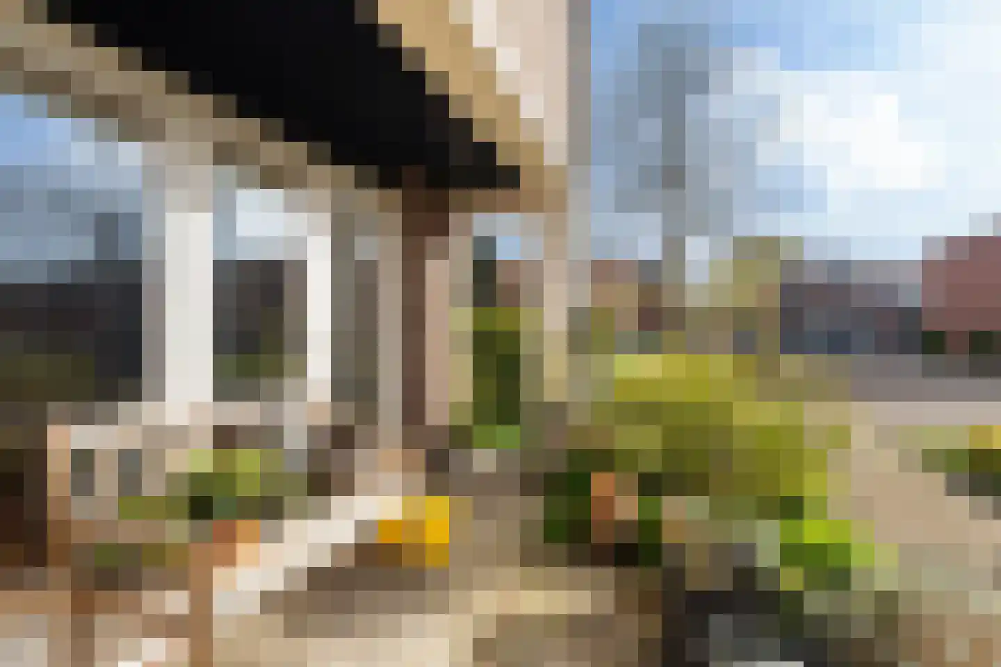 Vederkruidvaart 6 Zoetermeer thumbnail 6