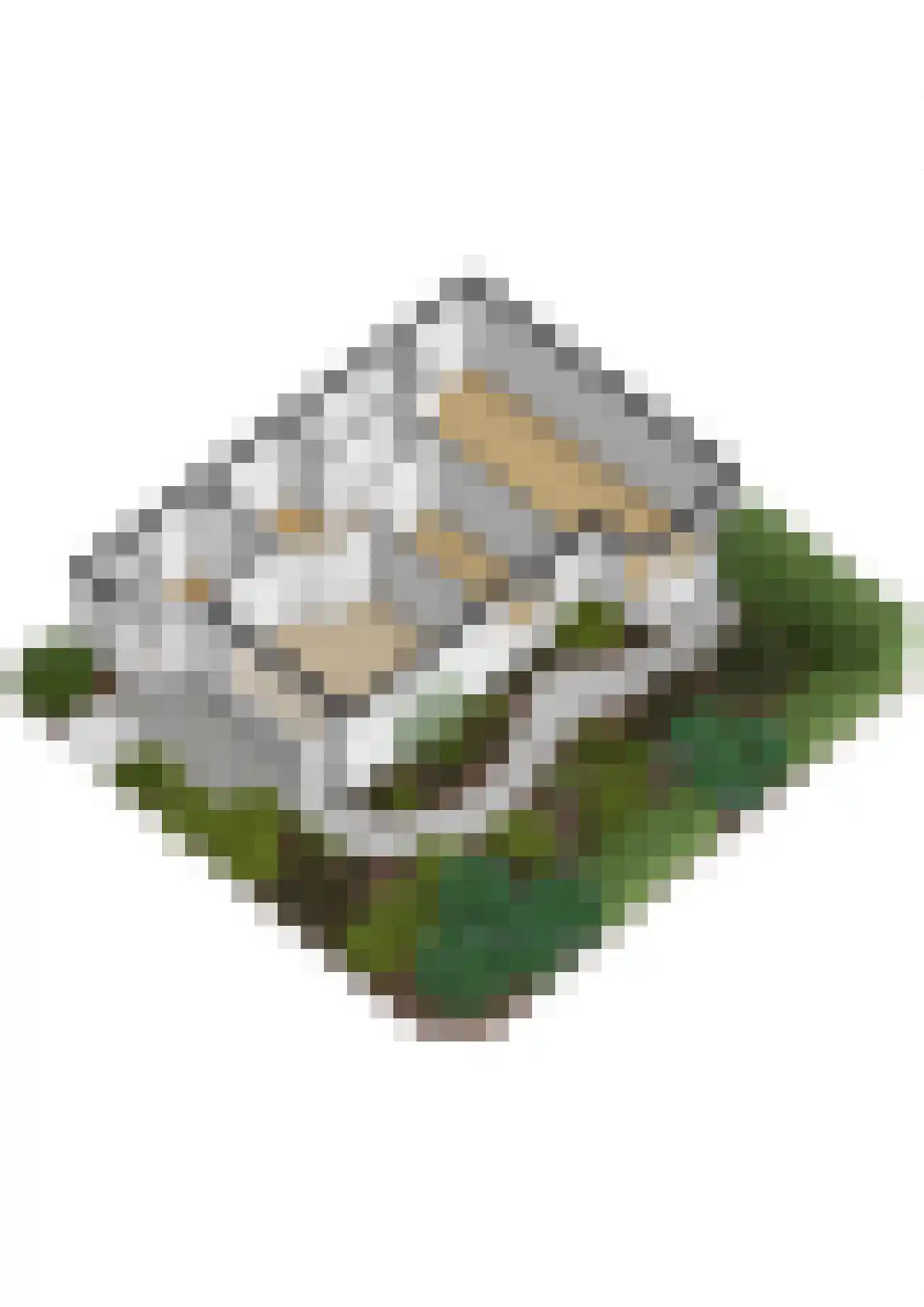 Vederkruidvaart 6 Zoetermeer thumbnail 71