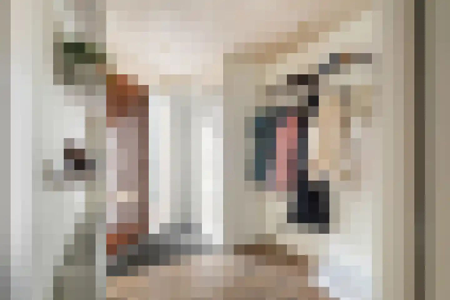 Vederkruidvaart 6 Zoetermeer thumbnail 8