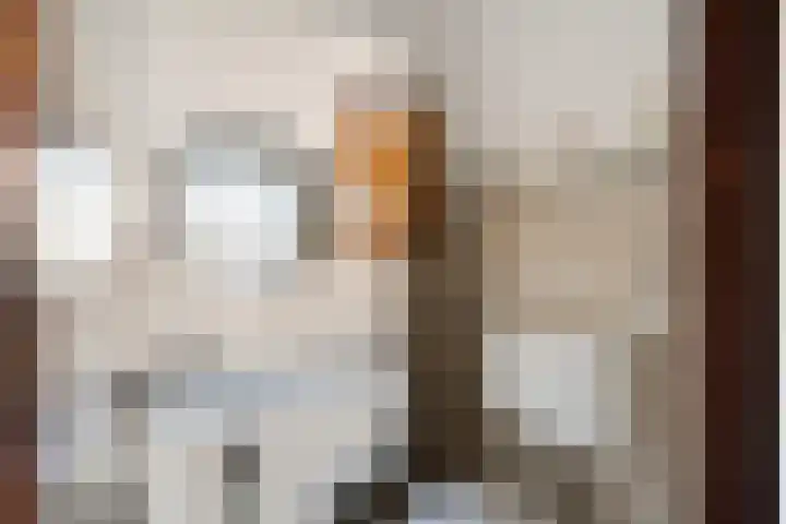 Vederwier 9 Leiden thumbnail 10