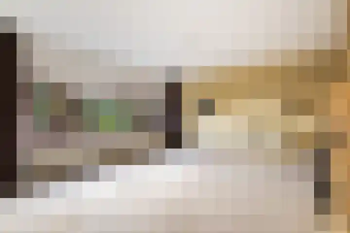 Vederwier 9 Leiden thumbnail 13