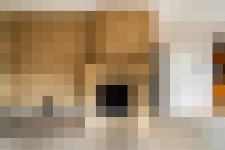 Vederwier 9 Leiden thumbnail 18
