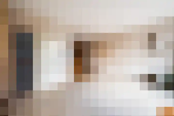 Vederwier 9 Leiden thumbnail 19