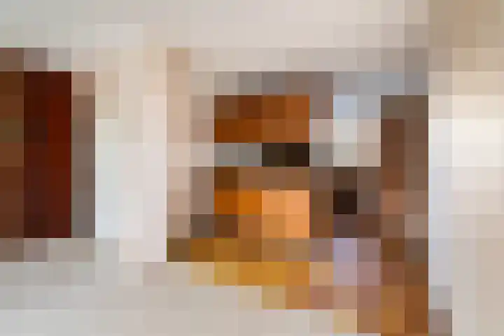 Vederwier 9 Leiden thumbnail 21