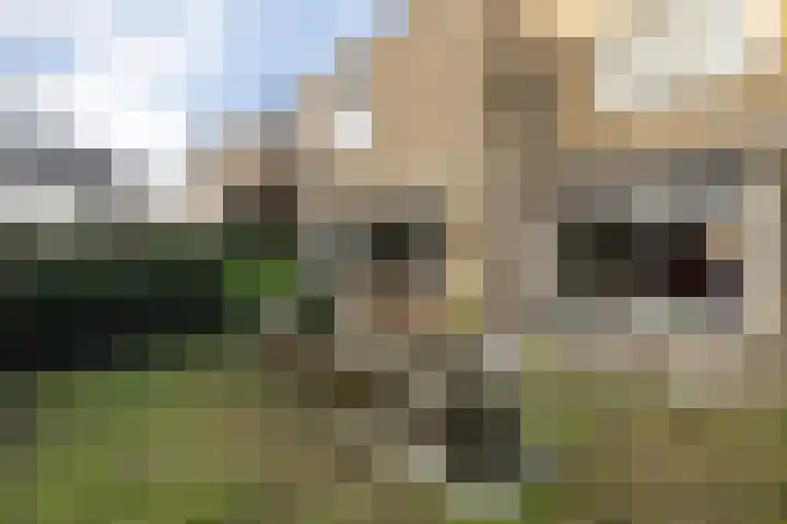 Vederwier 9 Leiden thumbnail 25