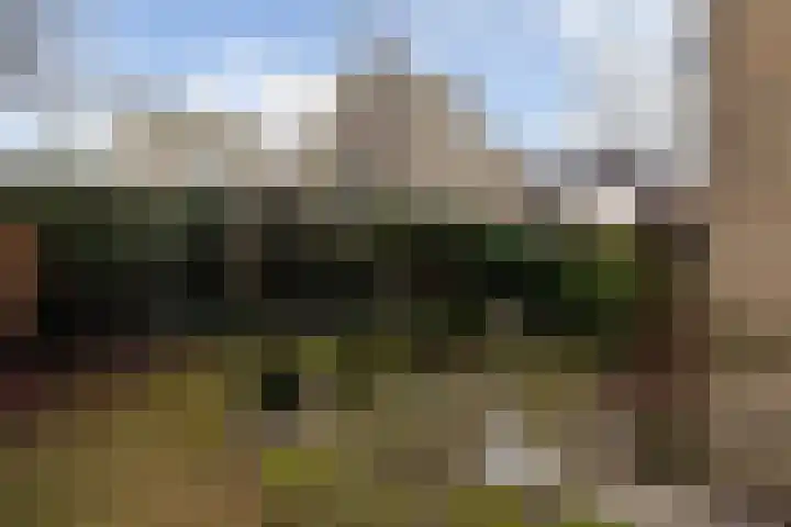 Vederwier 9 Leiden thumbnail 26